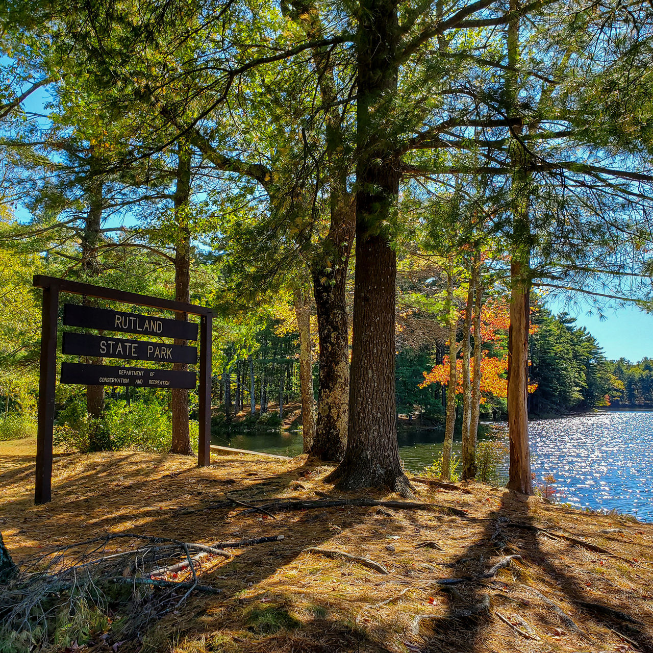 The Midstate trail in Massachusetts travels through Rutland State Park