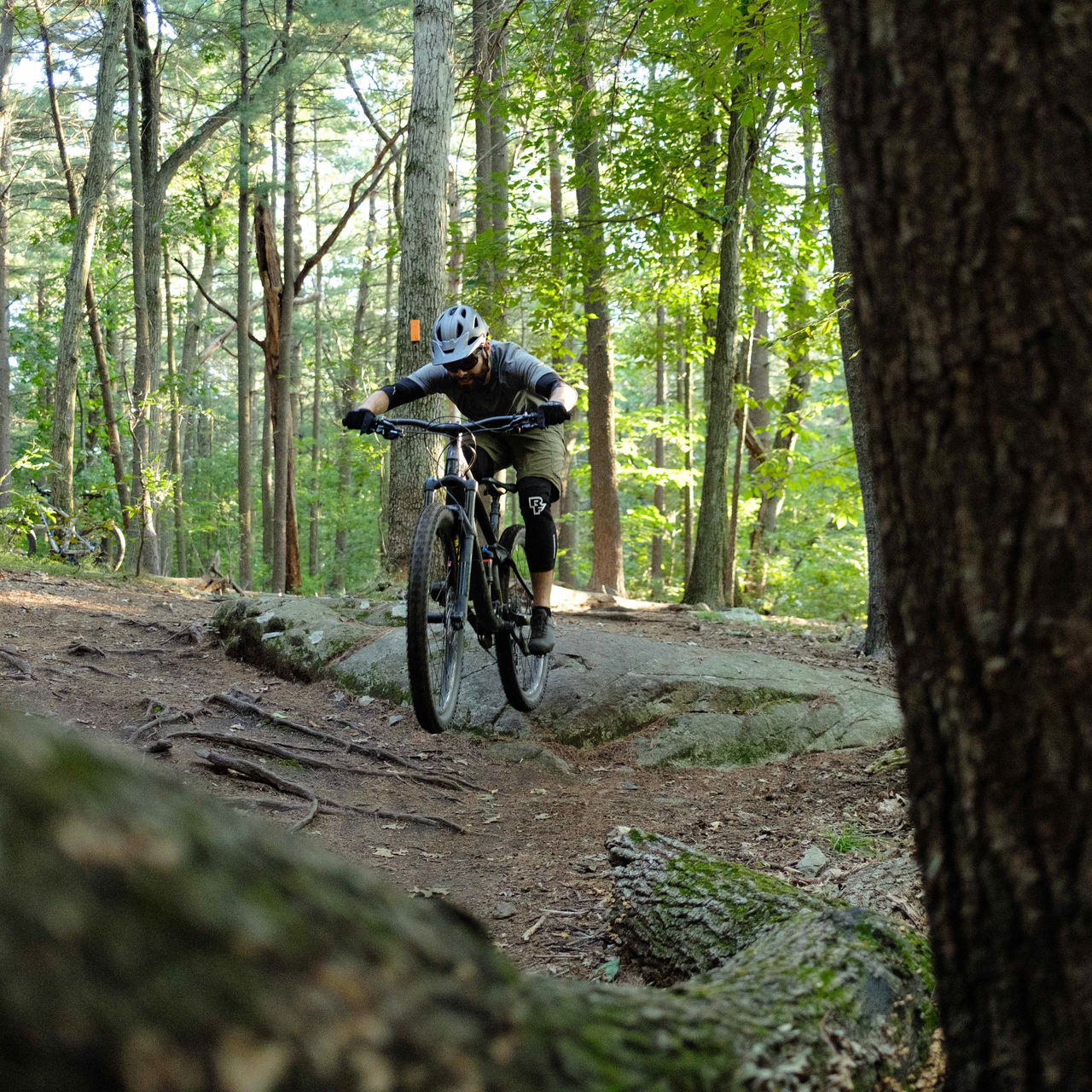 A mountain biker on Middlesex Fells trails